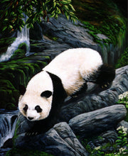 "Panda Bears" Triptych by Laura Curtin, Oils on Canvas