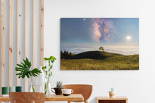 "Stellar" by Jared Weintraub, Photograph