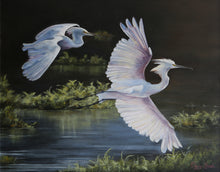"Snowy White Egrets in Flight" by Peggy Bosh, Oils on Canvas
