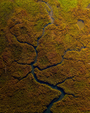 "Bonsai Earth" by Rich Caldwell, Photograph