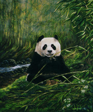 "Panda Bears" Triptych by Laura Curtin, Oils on Canvas